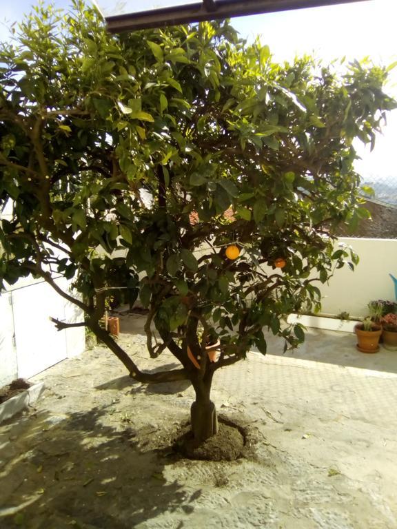 Estoril House Family Villa Exterior photo